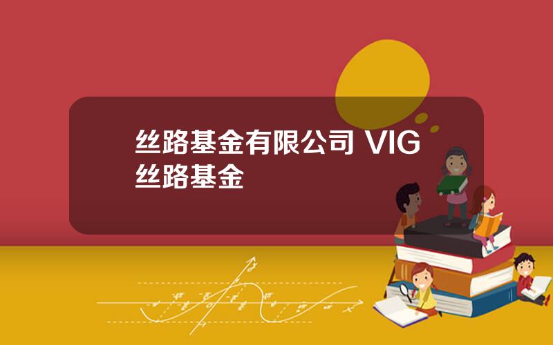 丝路基金有限公司 VIG丝路基金